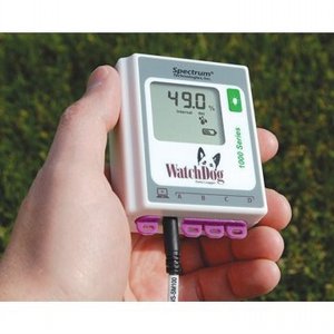 ���� 1000 - 2 ������