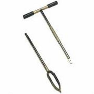 ���� ������ ����� 10